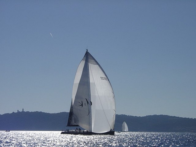 wallys - 1.jpg